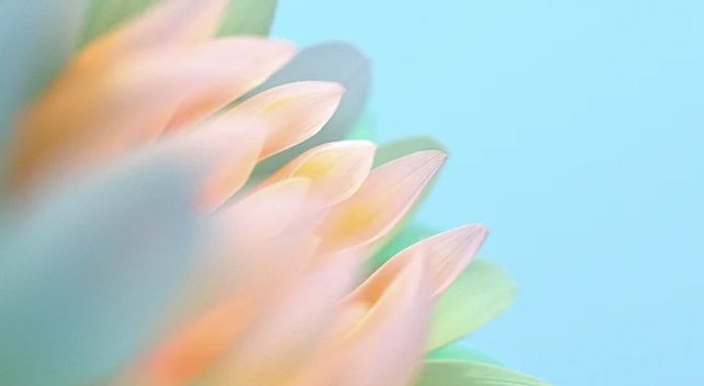 QQ截图20250615145405.png